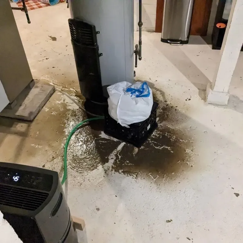 Sewage Backup Cleanup Service in Mead, CO